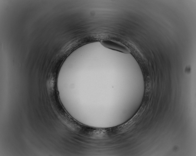 X0000099970124200806201411