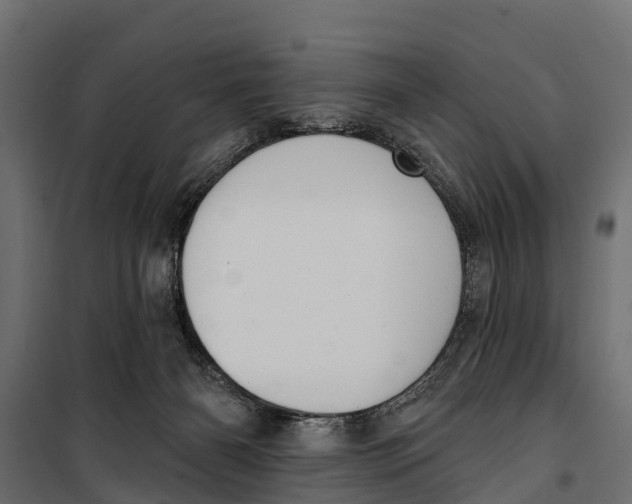 X0000099970126200806201411