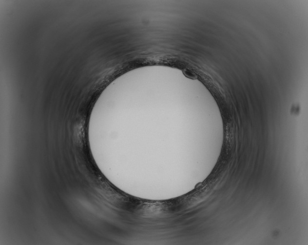 X0000099970127200806201411