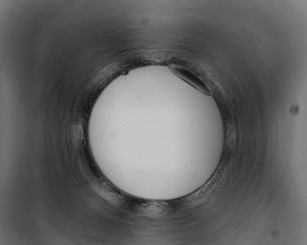 X0000099970128200806201411