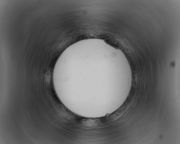 X0000099970129200806201411