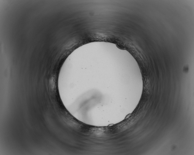 X0000099970131200806201411