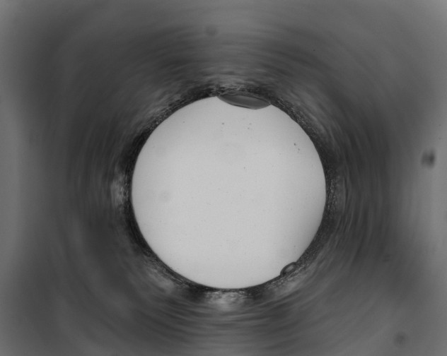 X0000099970135200806201410