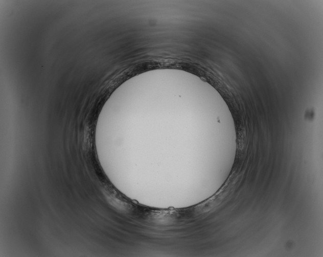 X0000099970136200806201410