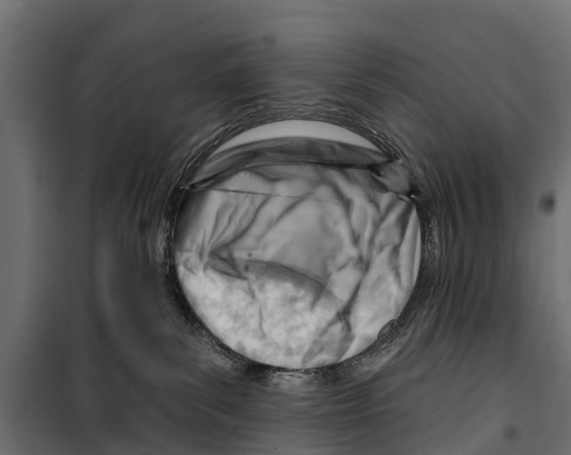 X0000099970139200806201410