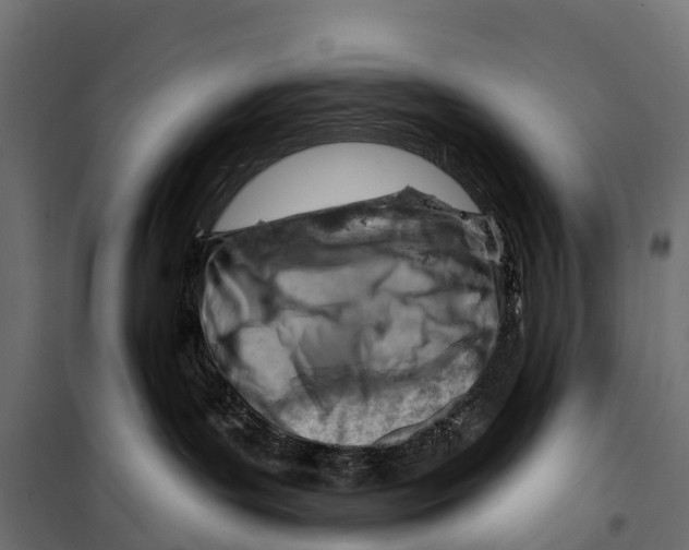 X0000099970143200806201410