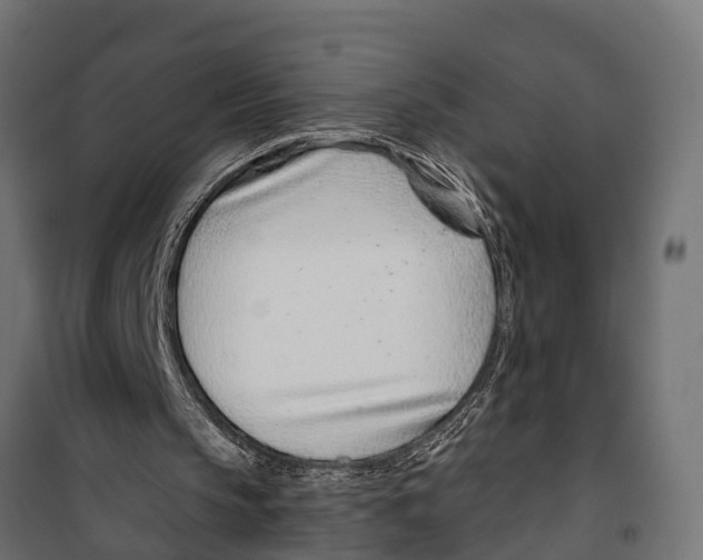 X0000099970145200806201410