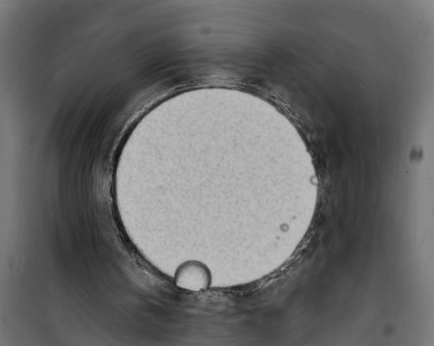 X0000099970146200806201410