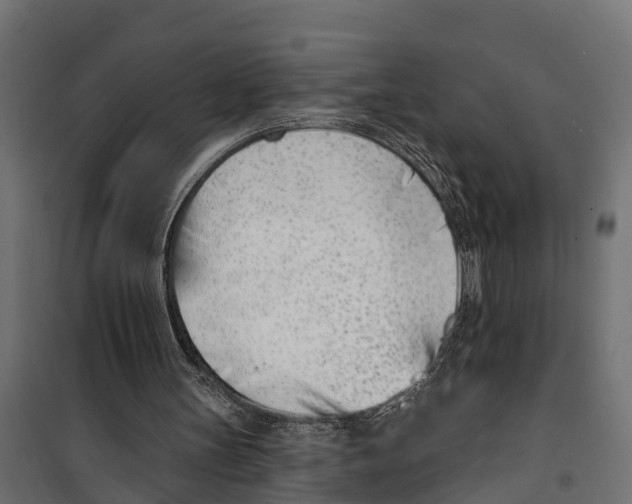 X0000099970147200806201410