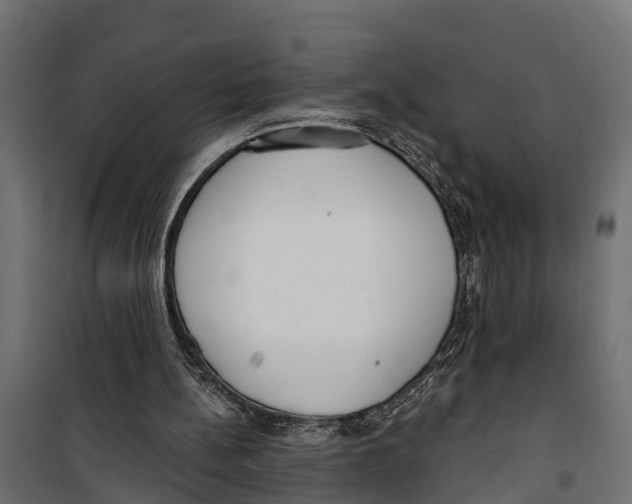 X0000099970148200806201410