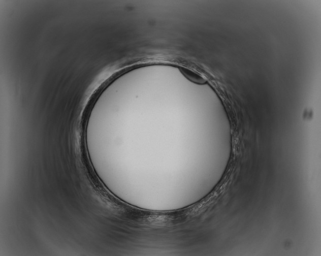 X0000099970152200806201410