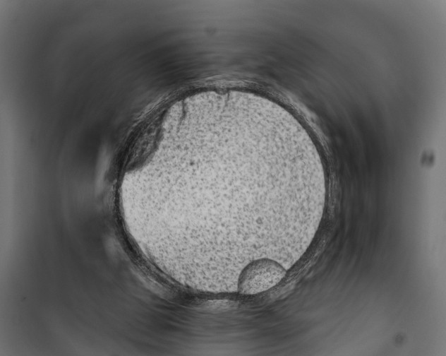 X0000099970153200806201410