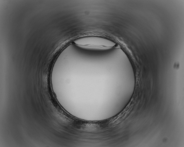 X0000099970154200806201410