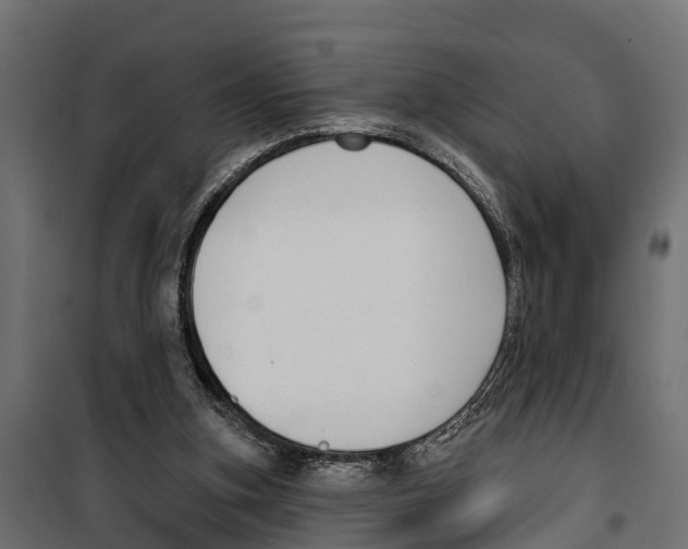 X0000099970155200806201410