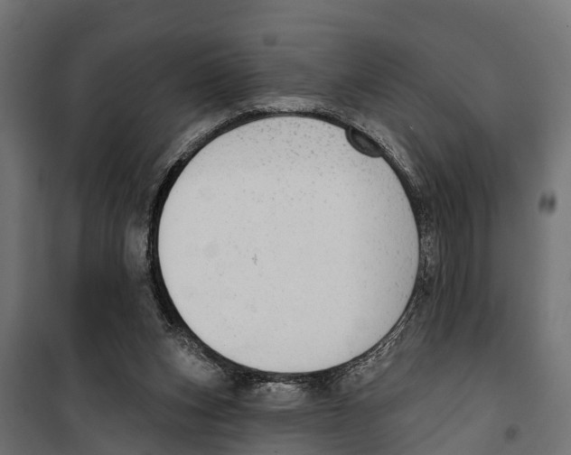 X0000099970159200806201410