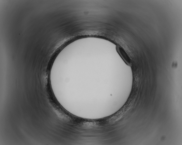 X0000099970160200806201410