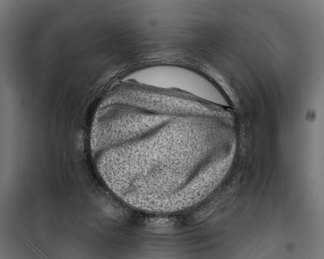 X0000099970161200806201410