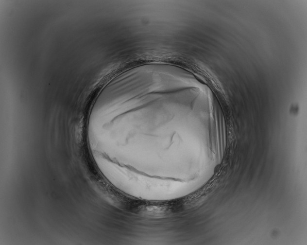 X0000099970163200806201410