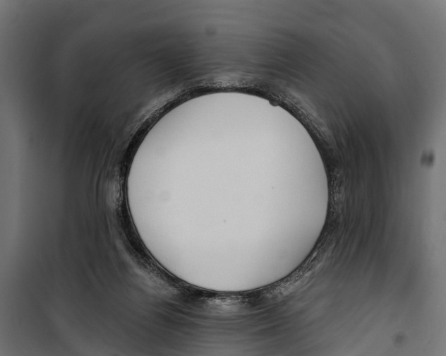 X0000099970164200806201410