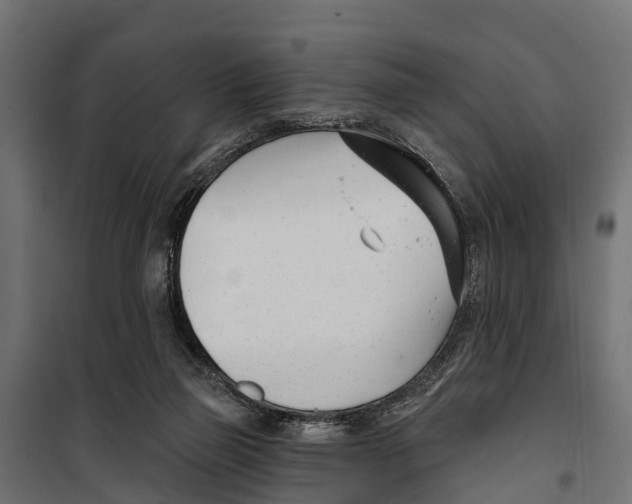 X0000099970165200806201410