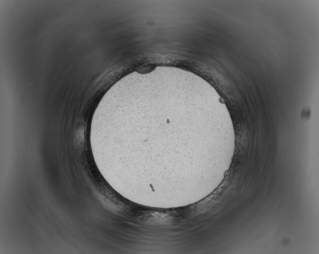 X0000099970166200806201410