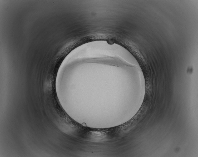 X0000099970167200806201410