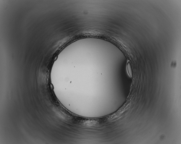 X0000099970168200806201410