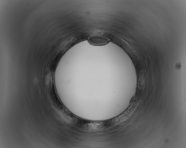 X0000099970172200806201410