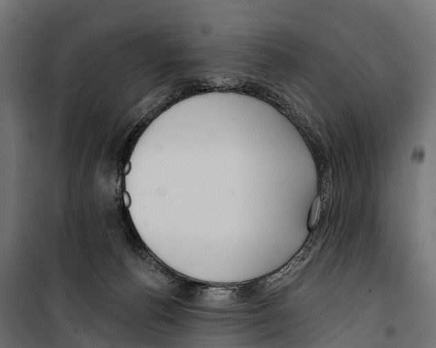 X0000099970176200806201410