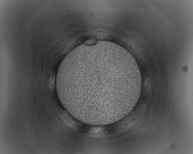 X0000099970177200806201410