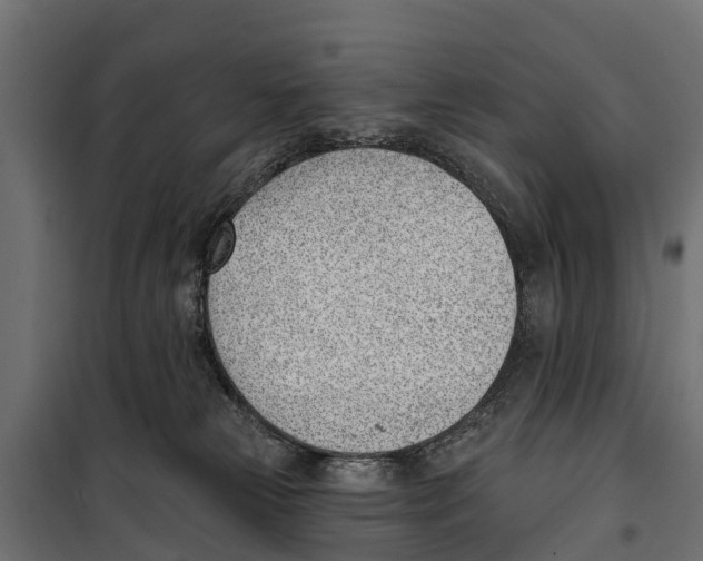 X0000099970181200806201410