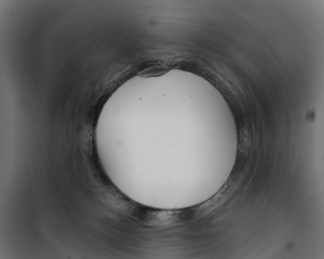 X0000099970184200806201410