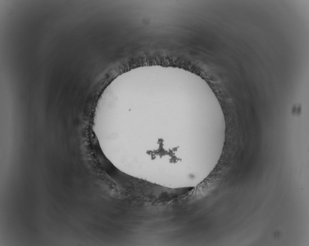 X0000099970192200806201410