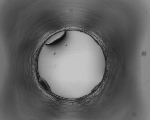 X0000099970193200806201410