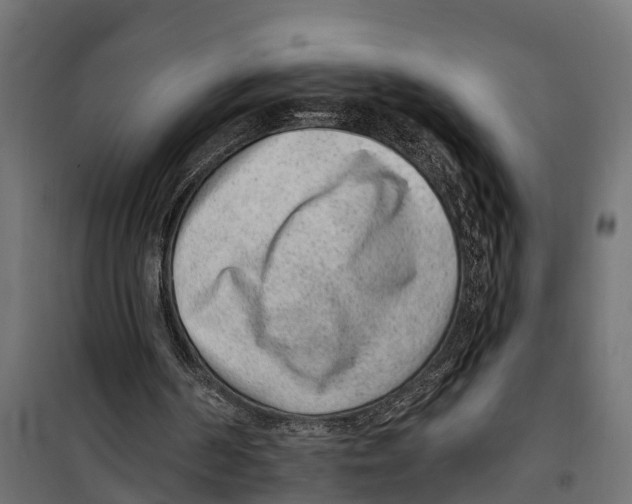 X0000099970194200806201410