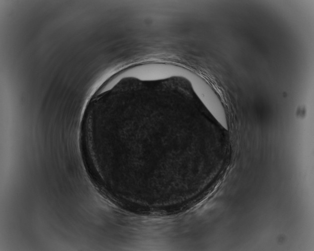 X0000099970196200806201410