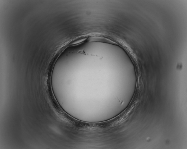 X0000099970201200806201409