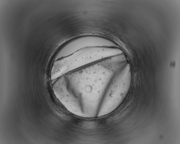 X0000099970203200806201409