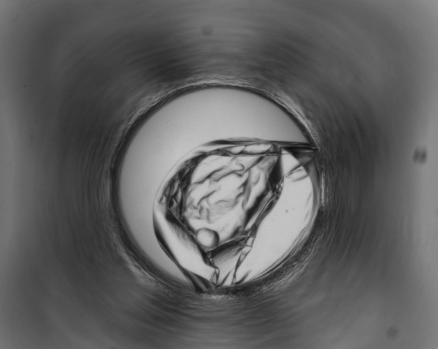 X0000099970205200806201409