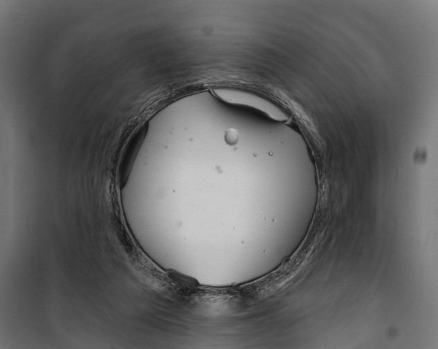 X0000099970209200806201409