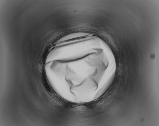 X0000099970210200806201409