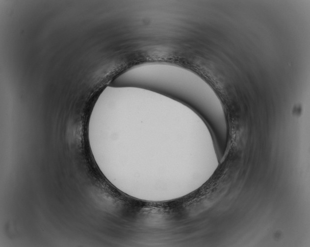 X0000099970211200806201409