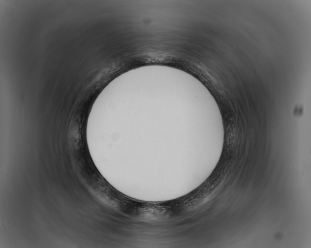 X0000099970215200806201409