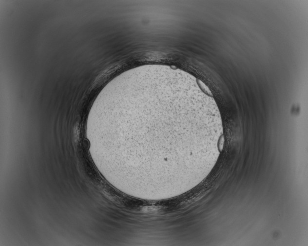 X0000099970216200806201409