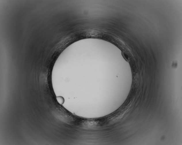 X0000099970217200806201409