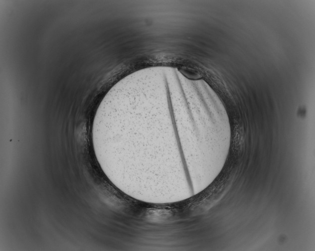 X0000099970220200806201409