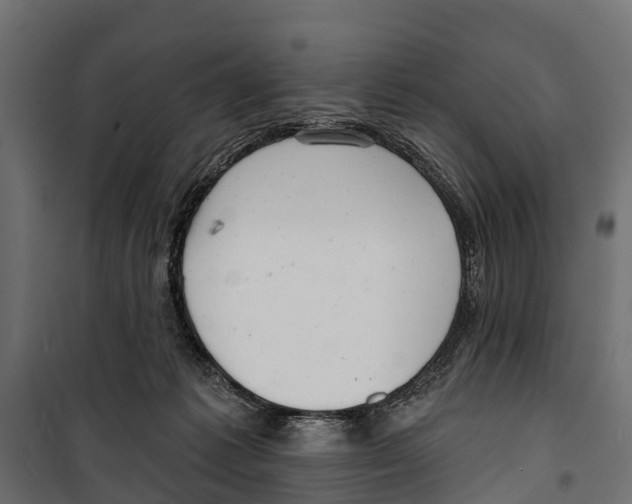 X0000099970221200806201409