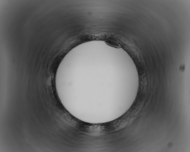 X0000099970225200806201409