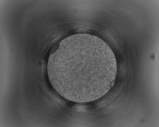 X0000099970228200806201409