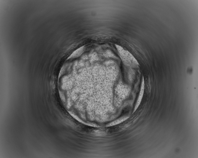 X0000099970232200806201409